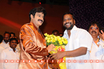 Balakrishna_Birthday_2010_151.jpg