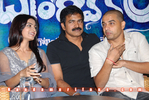 Brindavanam_Successmeet_094.jpg