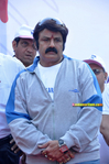 bt_cancerrun_2013003.jpg