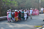 bt_cancerrun_2013041.jpg