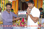 NTR_gopichand_028.jpg