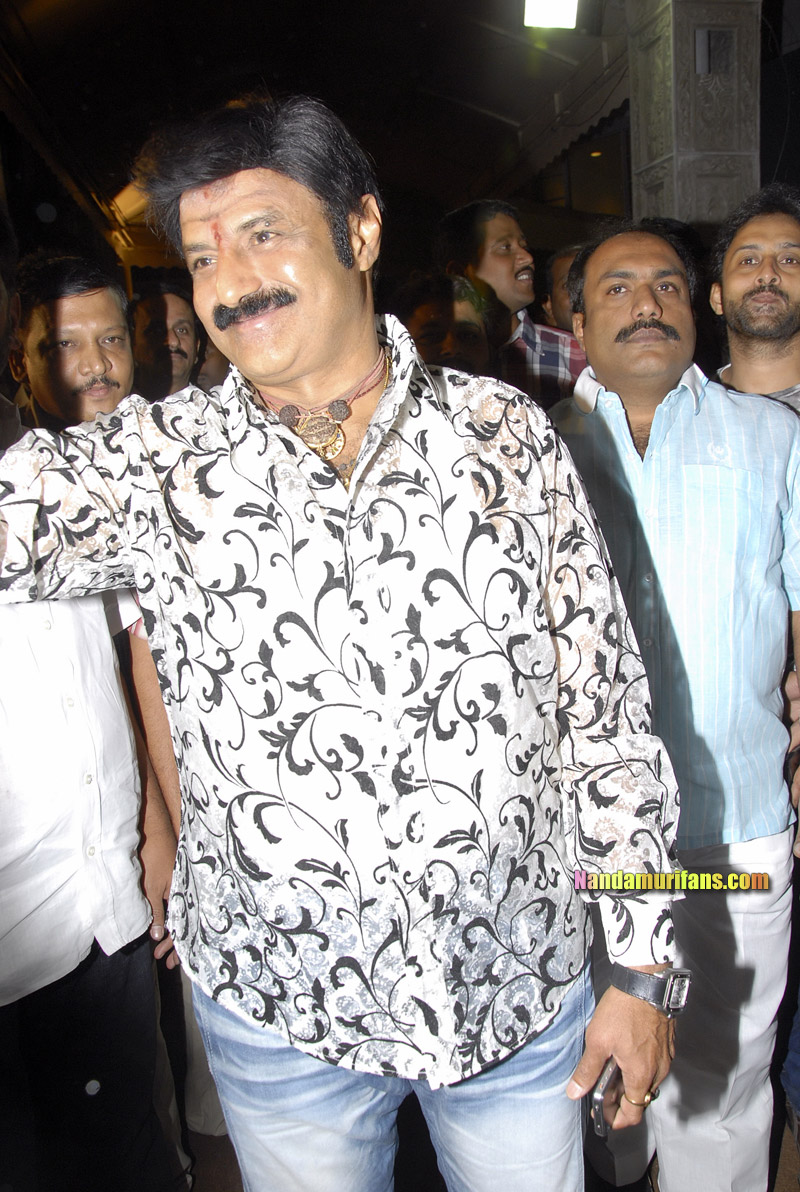 Adhinayakudu_TPD_015.jpg